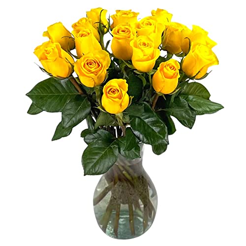 18 Yellow Roses with Vase | Arabella Bouquets | Real Fresh Flowers for Delivery, Gift for Birthday Women, Congratulations, Anniversary, Thank You, Mother's Day - color: Yellow, size: 18 Stems