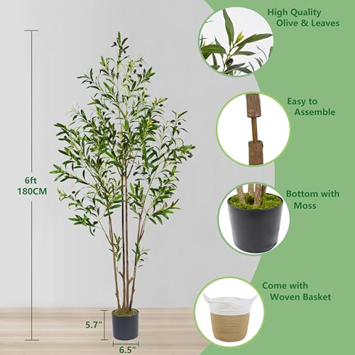 Warmplants 6ft (71”) Artificial Olive Tree, Tall Fake Olive Plant with Basket, Faux Olive Silk Tree for Mordern Indoor Home Livingroom Office Floor Corner Décor - color: Olive, size: 6ft