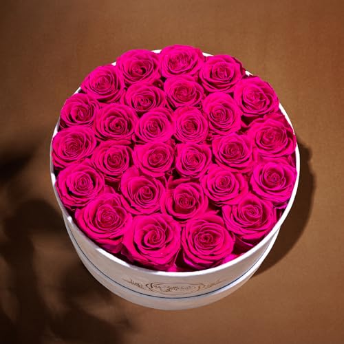 Prifroti 27 Flowers in a Luxury Suede Box, Birthday Gifts for Women, Preserved Flowers, Mothers Day Roses Gift for Mom, Hot Pink - color: Hot Pink, size: 27 Roses
