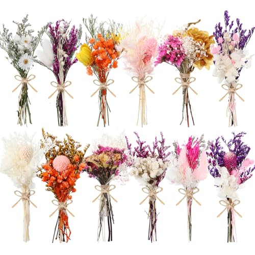 10/12/24 Pack Dried Flowers for Vase Various Mini Bouquet Dried Small Wildflowers Natural Real Flowers Bulk for Crafts DIY Wedding Decor (12, Flowers Blooming1) - size: Flowers Blooming1