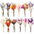 10/12/24 Pack Dried Flowers for Vase Various Mini Bouquet Dried Small Wildflowers Natural Real Flowers Bulk for Crafts DIY Wedding Decor (12, Flowers Blooming1) - size: Flowers Blooming1