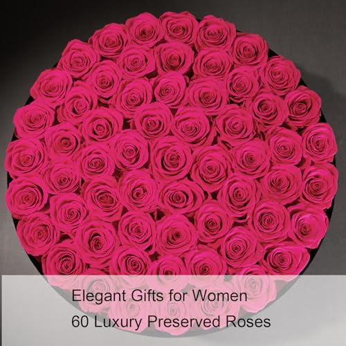 Gifts for Women – NATROSES 60 Preserved Roses in Luxury Black Velvet Box, Preserved Flowers for Delivery Gift for Her, Elegant Rose for Birthday, Mother’s Day, Christmas (Hot Pink) - color: Hot Pink, size: 60 Roses