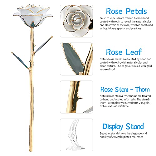 SW 24k Gold Dipped Real Rose Lasted Forever with Stand, White Gold Rose Gifts for Women Wife for Her, Christmas, Valentines Day, Mothers Day, Birthday - color: White
