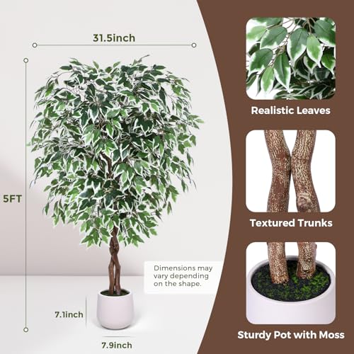 Jocoevol 5FT Artificial Ficus Tree, Tall Faux Trees Indoor with White Planter, Dried Moss, Natural Silk Leaves & Trunk, Fake Plants for Home Living Room Office Corner Decor Housewarming Gift - color: White Border, size: 5ft