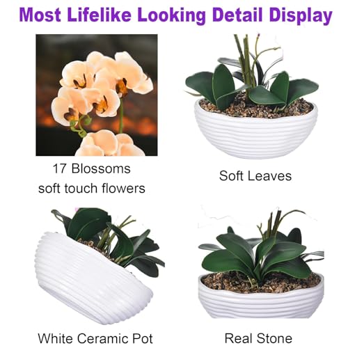 19" H Phalaenopsis Faux Orchid Plant Silk Orchid Centerpiece Artificial Floral Arrangement in Ceramic Pot (Champagne) - color: Champagne