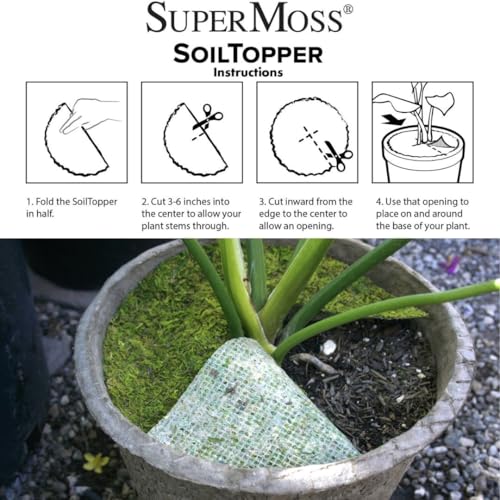 SuperMoss (26320) Moss Soil Toppers (Place Mats), Fresh Green, 14" (3 units) - color: Fresh Green, size: 14" (3 units)