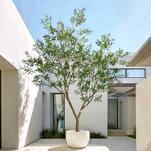 10ft Faux Olive Tree with White Pot & Moss, Artificial Olive Tree Indoor Outdoor, PE/PVC Leaves, Realistic Resin Trunk Large Fake Olive Tree Artificial Plants Indoor, Faux Plants Indoor for Home Decor - size: 10ft