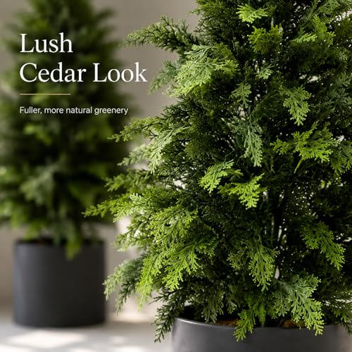 3 ft Extra Full Artificial Cedar Topiary Trees Set of 2 for Porch | Extra-Dense Foliage, Full Shape, UV Resistant, Stable Base, No Watering, for Porch Patio Garden Entryway - color: Cedar Green, size: 3FT