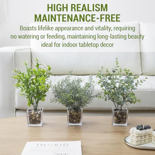 MyGift Artificial Rosemary Eucalyptus and Boxwood Plants Potted in Clear Glass Square Pots, Assorted Faux Greenery Indoor Home Table Centerpiece Office Desk Decor, 3 Piece Set - color: Green