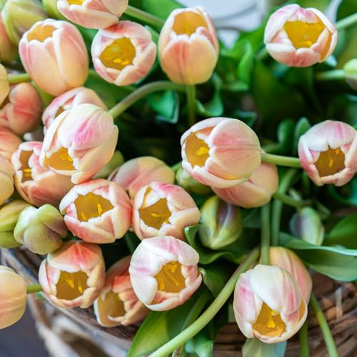 Artificial Tulips Flowers,Soft Touch Latex Bouquet, Fake Tulips,Spring Wedding Home Room Table Centerpiece Decor - color: 60pcs Champagne Set(no Vase)