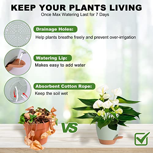Vanslogreen Plant Pots Indoor 7/6.5/6/5.5/5 Inch Self Watering Planters for Indoor Plants with Drainage Hole, Plastic Flower Pots for Succulents, African Violet (Green) - color: Green-5pack, size: 7/6.5/6/5.5/5 inch