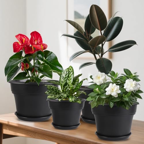 Myfeegoin 8-inch-Plant-Pots-Indoor-Outdoor, 4 Pack Plastic Planters with Drainage Holes & Saucers, Resin Flower Pots with Trays, Classic Garden Pot Container for House - color: Black, size: 8inch