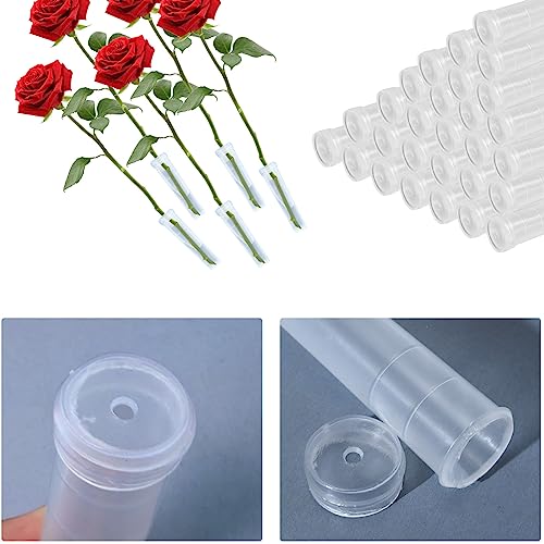 Vkinman Floral Water Tubes/Vials Reusable Plastic Flower Tubes Flower Arrangement Supplies 3 Inch Plastic Tubes for Plants Single Stem Flower 45-50Pcs