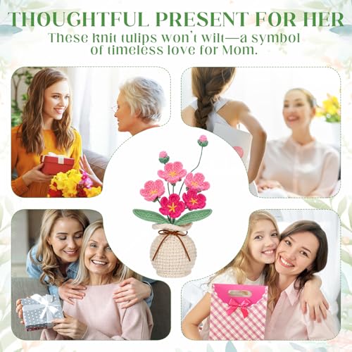 Marsui Crochet Flower Bouquet with Vase Forget-Me-Not Flowers Pot Crocheted Flower Handmade Knitted Potted Flowers Gift for Wome Coworker Father's Gifts Back to School Gift Home Decoration (Pink) - color: Pink, style: Forget-me-not
