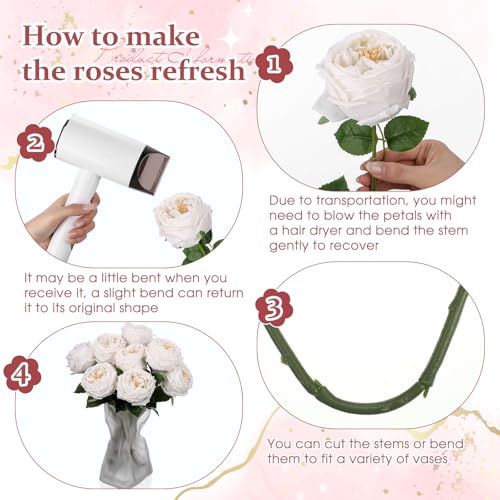 Daifunli 10pcs Real Lifelike Peonies Artificial Flowers, Faux Austin Rose with Long Stem Look Real Fake Flower for Christmas Valentines Arrangement Wedding Party Home Kitchen Decor(White) - color: White