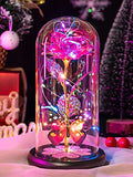 Mothers Day Mom Gifts for Mom Women Birthday Gift Galaxy Glass Rose in Glass Dome Forever Eternal Crystal Flowers with Butterfly Mother's Day Flowers Gifts for Women Wife Grandma Daughter Sister Pink - color: D Pink
