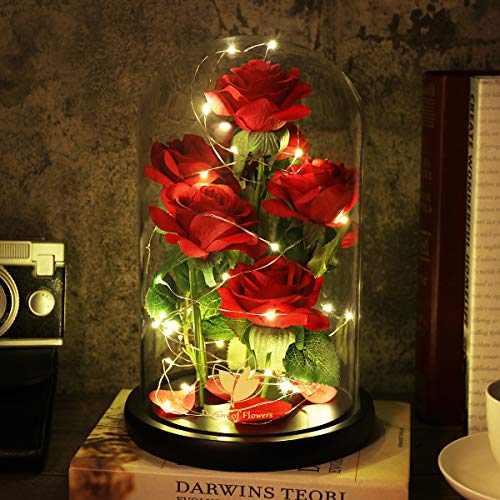 Mothers Day,Birthday Gifts for Women,Beauty and The Beast Rose,Artificial Silk Rose Preserved Forever in Glass Dome,Valentine's Day,Christmas,Anniversary,Flower Roses Gifts for Mom Wife Girlfriend - color: Rose Red