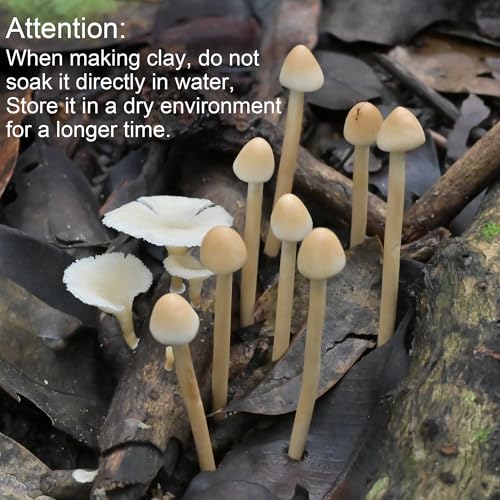 8-Pack Handmade Clay Mushrooms - Mini Fake Mushrooms for DIY Miniature Landscapes & Fairy Gardens - Desktop Ornaments & Christmas Decorations.