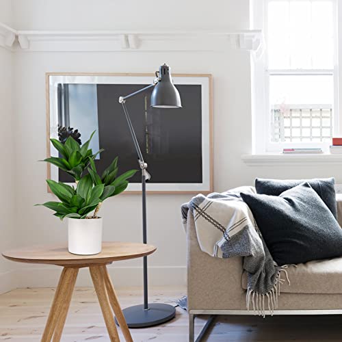 Hollyone Large Artificial Agave Plants Fake Three-Head Agave Succulent Plant Potted 15" Faux Plant in White Pot Succulent Aloe Plant Indoor for Desk Modern Home Decor - color: Style 2