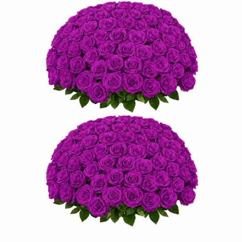 50 PCS Purple Roses Artificial Flowers, Fake Purple Roses, Purple Artificial Roses with Stems for DIY Wedding Flowers Decoration, Valentines Roses, Wedding Decoration - color: Purple, size: 50 Pcs