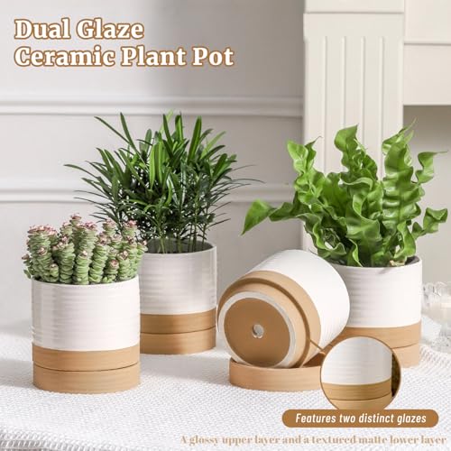 HASENSE Ceramic Plant Pots with Saucers Set of 4, 4.6 Inch Planters for Indoor Plants with Drainage Holes,Two-Tone White Flower Pots for Succulents, Snake Plants & Cactus, Farmhouse Desktop Decor - color: White