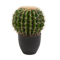 Nearly Natural Cactus Artificial Plant