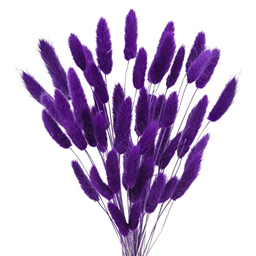 Uieke 17’’ Natural Bunny Tails Dried Flowers, 50 Pcs Dried Lagurus Ovatus, Dried Purple Pampas Grass Decor for Farmhouse Flower Arrangements Wedding Home Craft Boho Party Decorations - color: Purple-50pcs