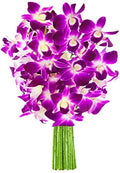 KaBloom - Bouquet of Purple Orchid without vase - Fresh Flowers for Birthday, Valentine's & Mother's Day - color: Purple, style: Without Vase
