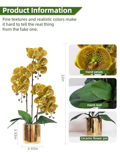Artificial Orchid Flowers Set Fake Phalaenopsis Flower Faux Butterfly Orchid Real Touch Orchid for Wedding Home Office Party Hotel Yard Decoration Restaurant - color: Macula Lutea