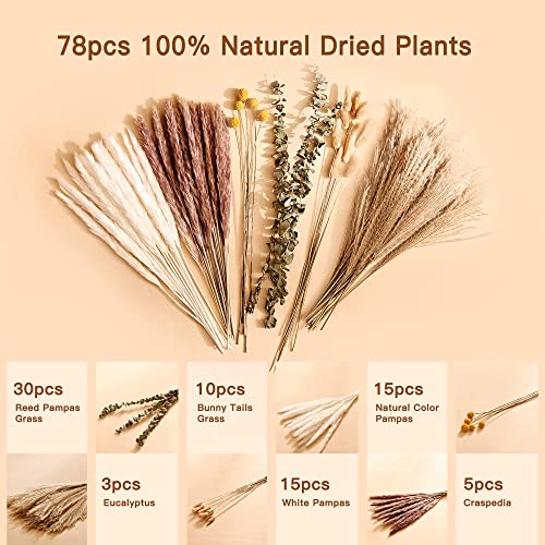 Natural Dried Pampas Grass Bouquet 78pcs 17inch Home Decor, White Pampas & Brown Pampas & Reed Grass & Bunny Tails Grass & Craspedia & Eucalyptus, Boho Wedding Decor Flowers Arrangement