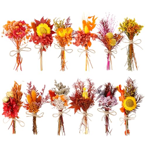10/12/24 Pack Dried Flowers for Vase Various Mini Bouquet Dried Small Wildflowers Natural Real Flowers Bulk for Crafts DIY Wedding Decor (12, Autumn Color) - size: Autumn Color