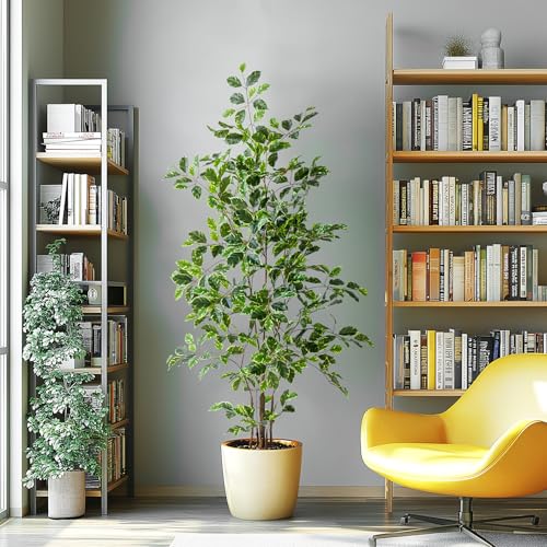 Bailikang Artificial Ficus Tree Indoor 5ft, Large Potted Faux Tree with Realistic Silk Leaves & Trunk for Home Office, Living Room Corner Decor - color: White Green, size: 5ft