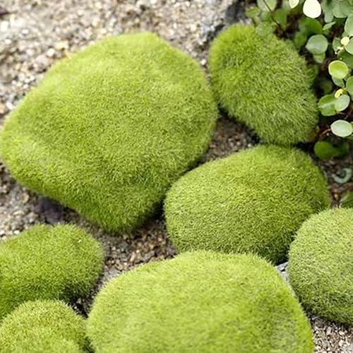 MDXing 12PCS 3 Sizes Artificial Moss Rock Decoration 42 60 90 3x5 5x6 7x9cm PVC Artificial Moss Rocks for Styled Tree Bonsai Floral Microlandscapes Dollhouse Miniature Scenes