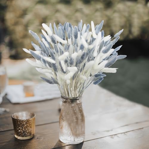 CITYES 120Pcs Dried Bunny Tails Flower Lagurus Ovatus Natural Dried Flowers Rabbit Tail Grass Gray and White Dried Pampas Grass Dried Floral Arrangement for Boho Decor Wedding Home DIY Farmhouse Table - color: White and Grey