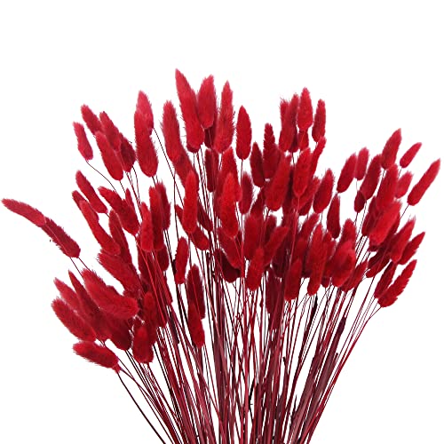 CISDUEO 120pcs Dried Bunny Tails Flowers Red Lagurus Ovatus Tail Dried Flowers Pampas Grass Natural Dried Floral Arrangement for Boho Decor Home Wedding DIY Farmhouse Table Christmas Halloween (17") - color: Red