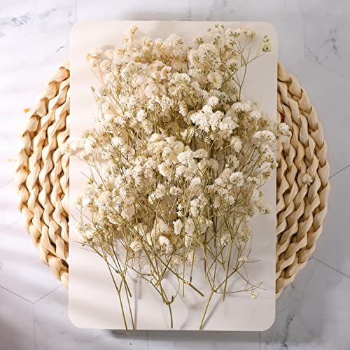 Fumete 200 Pcs Mini Dried Baby Breath Flowers 3000+ Wedding Ivory White Flowers Bulk 2-4 in Dried Artificial Gypsophila for Wedding Decor Boho Invitation Resin Candle DIY Art Crafts Making Bouquet