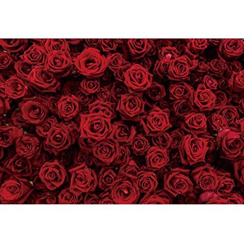 Laeacco Vintage Red Rose Flower Wall Backdrop 12x8ft Romantic Floral Flowers Photography Background Valentine Mother's Day Bridal Shower Wedding Happy Anniversary Party Decor Wallpaper Photo Studio - size: 12x8ft