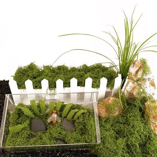 Caiyjhao Artificial Green Moss is Used for Potted Plants, and Moss Crafts are Used for Fairy Tale Garden Houses, Garlands, Glass Container Fillers and Wedding Wall Decoration (7.05 Ounces) - color: green, size: 200g