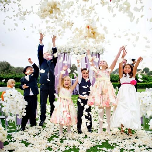 CODE FLORIST 1100 PCS Silk Rose Petals for Valentine's Day,Fake Rose Petals for Romantic Night,Wedding,Proposal Anniversary Flower Decorations(Separated,Scented,Ivory) - color: Ivory, size: Separated 1100 pcs