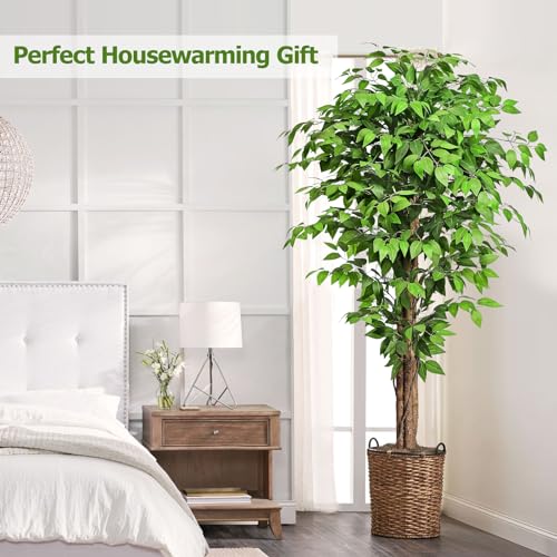 6.2ft Ficus Artificial Trees with 3 Natural Curved Trunks, 74" Tall Lush Faux Tree for Home Decor Indoor, Green Lifelike Fake Ficus Tree Artificial Plants - size: 6ft 2in