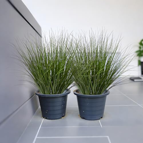 16PCS 17.3" Fake Plants Artificial Wheat Grass Greenery Plastic Plants Fake Grass Artificial Plants for Outdoor Decor Artificial Grass Plant with Greenery Stems for Indoor Home Decoration - size: Short-16PCS