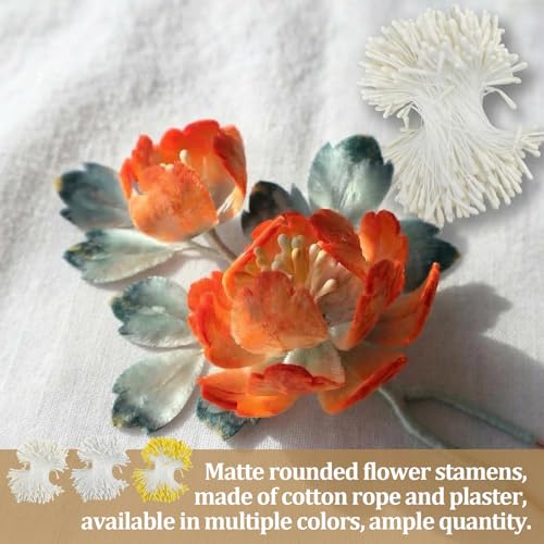 1200 Pcs Flower Stamens, 2mm Double Heads Artificial Pearlized Flower Stamens, Hand-Made Matt Floral Stamen for Crafts DIY Christmas Wedding Scrapbook Decoration (Cream White, White, Gold) - color: Cream White,white, Gold