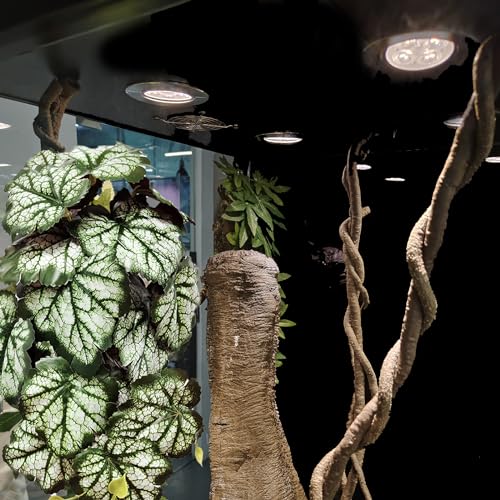 Woyrise Reptile Plants, Terrarium Hanging Plants Vines for Reptile Tank, Amphibian Habitat Leaves Decor with Suction Cups for Bearded Dragon Lizard Snake Gecko Frog Hermit Crab - 2Pack Green Heuchera - color: Heuchera