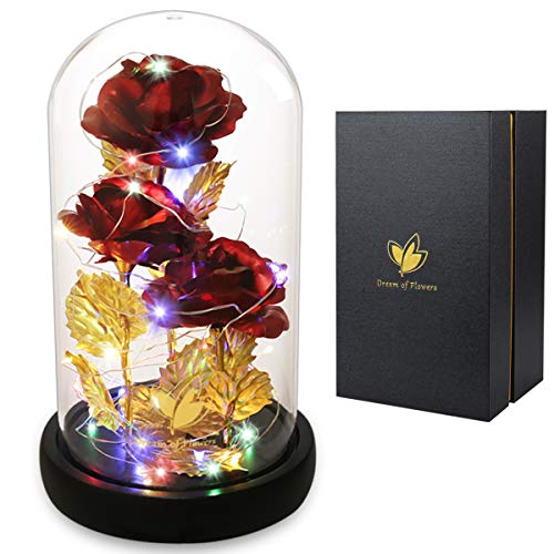 Mothers Day Flower Gifts for Mom,Wife,Mother Rose Galaxy Flower Red Rose in Glass Dome,Light Up Rose Flowers with 2 Lighting Mode,Enchanted Rose Gifts for Women for Birthday Wedding Valentines Day - color: Colorful Red
