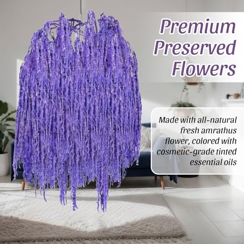 Suncalla 12 Pcs Purple Spring Natural Dried Amaranthus Hanging Flowers Amaranthus Artificial Flowers for Wedding Arch Bouquet Floral Garland Wall Home Decoration (23 Inch) - color: Purple