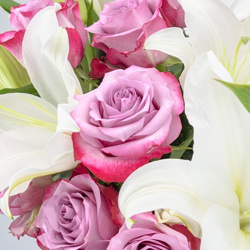 Benchmark Bouquets Oriental Lily & Purple Rose Bouquet – Real Fresh Flowers for Delivery – Mothers Day Gifts for Mom – Long Stem Roses with Fragrant Lilies – Purple Flowers – Glass Vase Included - color: Purple