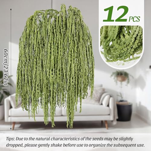 Suncalla 12 Pcs Bright Green Spring Natural Dried Amaranthus Hanging Flowers Amaranthus Artificial Flowers for Wedding Arch Bouquet Floral Garland Wall Home Decoration (23 Inch) - color: Bright Green