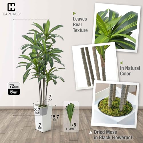 Fencer Wire Artificial Dracaena Tree 6FT – Tall Faux Dracaena Floor Plant in White Planter, Low Maintenance Large Indoor Tree for Living Room Office Corner - size: 6ft