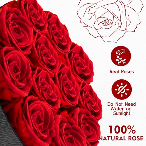 Impouo Forever Flowers, 12 Roses in A Box, Real Preserved Roses, Birthday Gift for Women, Mother's Day, Anniversary, Red Rose (Red, 12 Rose) - color: Red, size: 12 Rose