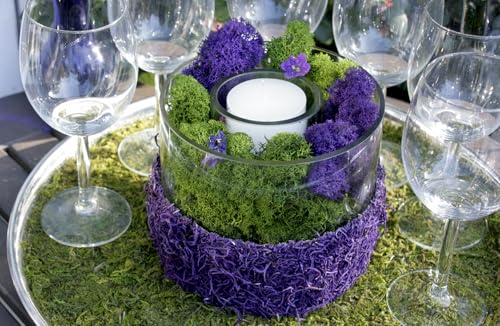 SuperMoss (21798) Reindeer Moss – Soft Preserved Moss for Home Decor, Crafts, Terrariums, Floral Design, and Wedding Decorations, 2,588 cu in, Purple - color: Purple, size: Appx. 10 lb Bulk Case